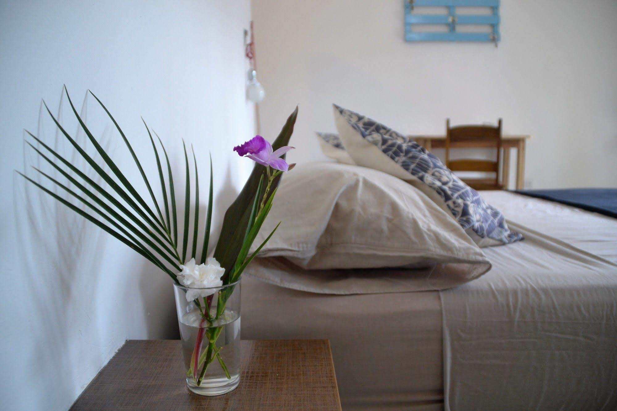 Hotel Indalo Adults Only Puerto Viejo de Talamanca Zewnętrze zdjęcie
